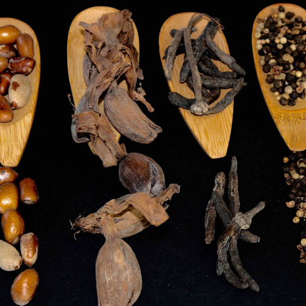 Épices Bongo, poivre de Sélim, noix de Pépé