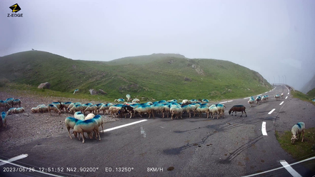 Bild: Abfahrt vom Col du Tourmalet