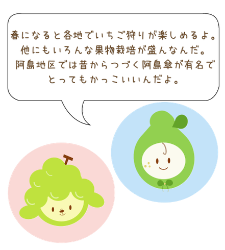 春になると各地でいちご狩りが楽しめるよ。 他にもいろんな果物栽培が盛んなんだ。 阿島地区では昔からつづく阿島傘が有名で とってもかっこいいんだよ。