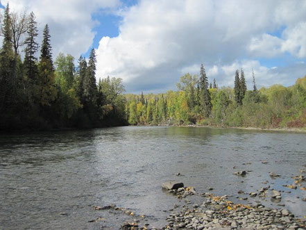 Kispiox River