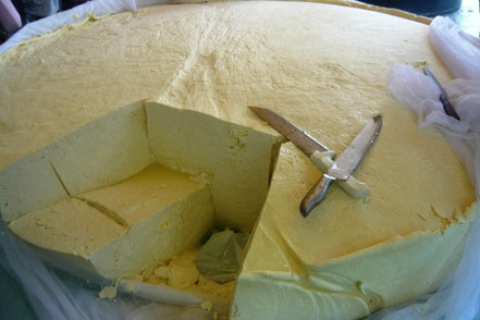 Un queso gigante elaborado por estudiantes de agropecuaria en la Uleam y expuesto en la Feria Jotapi de Portoviejo. El Carmen, Ecuador.