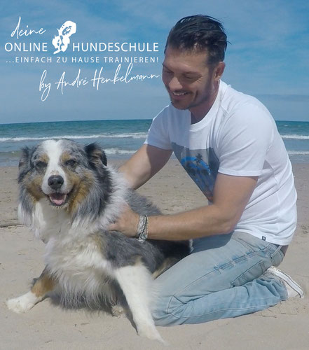 André Henkelmann - Zertifizierter Hundetrainer, Verhaltensberater & Sachbuch-Autor