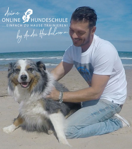 André Henkelmann - Zertifizierter Hundetrainer, Verhaltensberater & Sachbuch-Autor