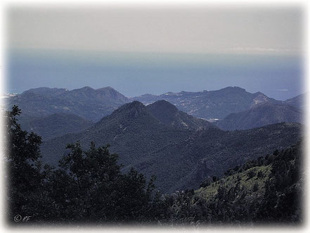 Alpenpanorama mit Blick auf das Mittelmeer