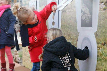 Dierenpark Amersfoort Poep en zoo