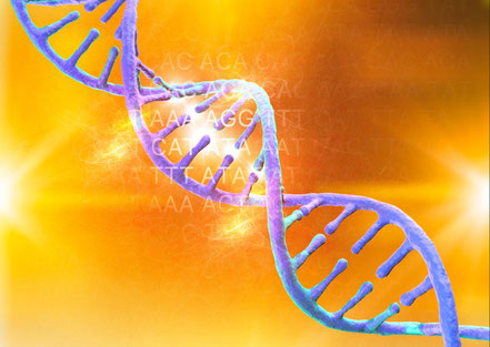 Libérer la mémoire corporelle et l'empreinte du stress grâce aux neurosciences, à l'épigénétique et la naturopathie