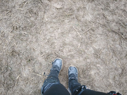 M'era Luna 2017 | Mud