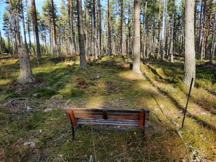 Rund um das Stiftelsen Berget liegt wunderschöne Natur.