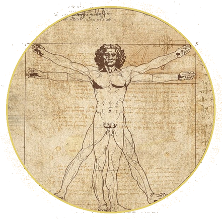 L'Homme de Vitruve, L. da Vinci, vers 1490