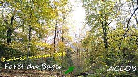 Rando en forêt du Bager 22 novembre 2025 avec l'association ACCOB