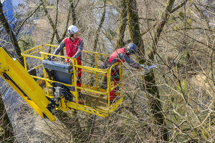 Hubarbeitsbühne mit Mitarbeitern im Wald