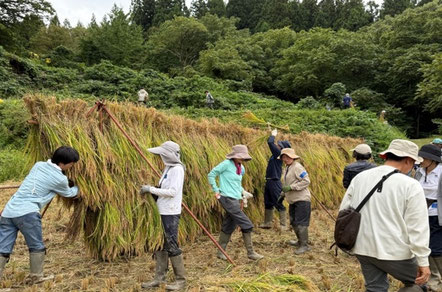 ハサ掛けまで出来ました、達成感!