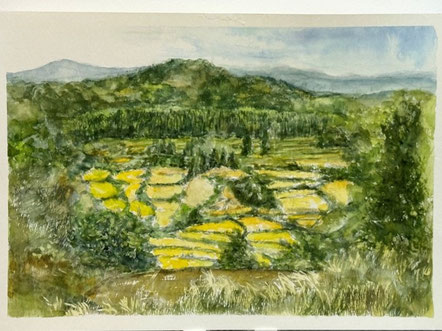 山口さんのスケッチ 星峠の棚田風景