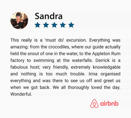 Five Star Positive Guest Review on Day Trip to South Coast, Jamaica
