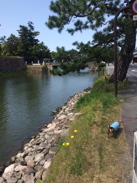 見馴れた風景、落ち着く〜☺︎