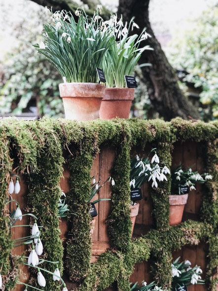 wedding planner paris organiser mariage ecolo responsable green