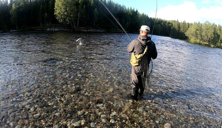 Lachs angeln Norwegen, in großen Flüssen, in Straumen in Meeresbuchten mit Fliege und Blinker,