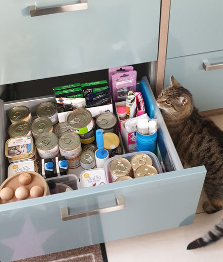 Katze Hermine und ihr Futter