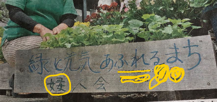 祝 65歳 今 人生最後の橋を渡る 人生は65歳からが 楽しいのだ 100歳までの日記
