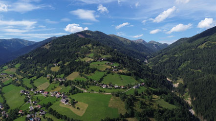 Kaning im Hintergrund der Rosennock