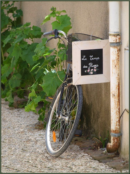 Bicyclette au détour d'une ruelle à Talmont-sur-Gironde,Charente-Maritime