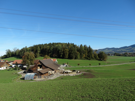 (Bild: buebikernews)