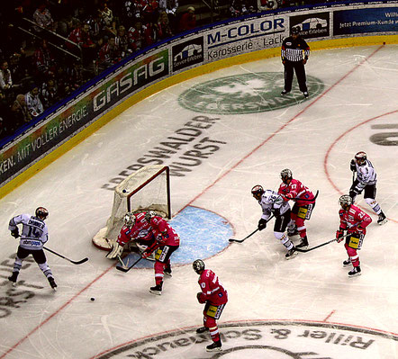 Marvin Cüpper Eisbären Berlin