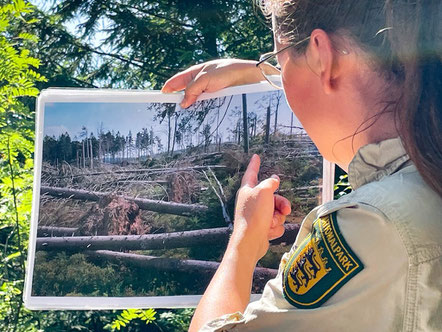 Die Rangerin Nadine Berger präsentiert Fotos der Lothar-Fläche direkt nach dem Orkan