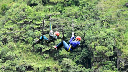 Eine Tour in den Regenwald in Ecuador ist für Kinder sehr interessant und abwechslungsreich!