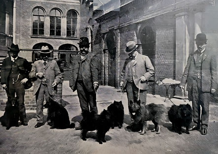 Großspitz Deutscher Spitz Wolfsspitz Keeshond Geschichte Vintage Retro alte Bilder Verein Deutsche Spitze Generalversammlung