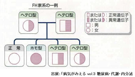 FH家系の一例