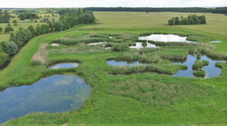 Saalbachniederung, Foto: NABU Hambrücken