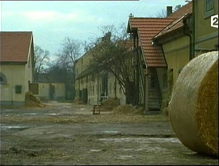 Haras ("Le cheval qui valait des millions", S6X12)