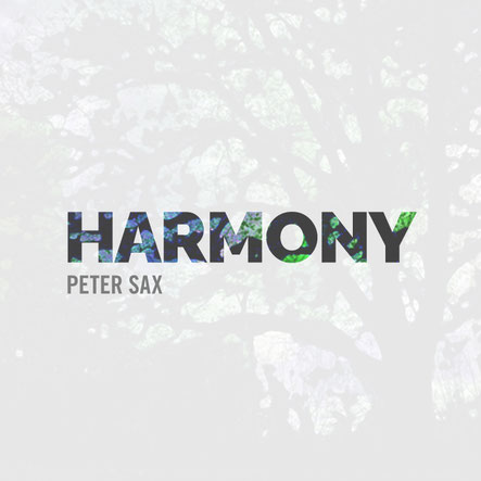 Peter Sax Pool Party