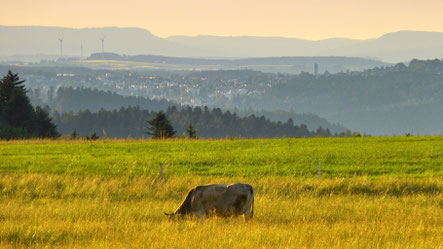 Fohrenbühl Blick nach Sulgen