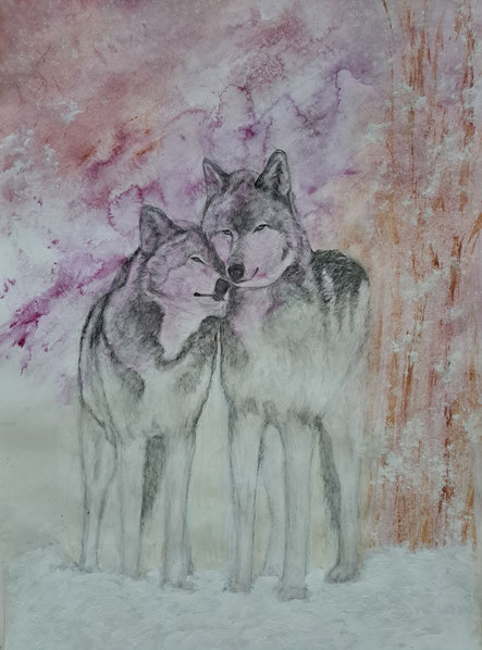 couple de loups aquarelle