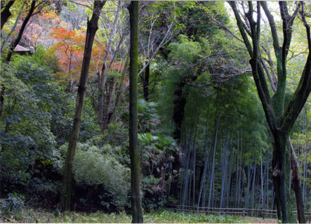 写真：優秀賞／静けさの中に