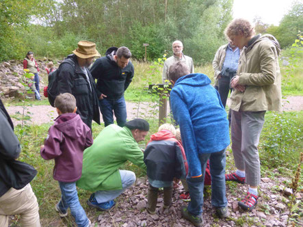 Auf Spinnensuche im LBV-Naturerlebnisgarten