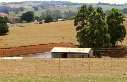 Rural dairy.