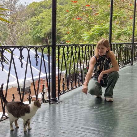 Six-toed cat im Hemingway Home