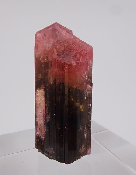 Malkhan Rubellite