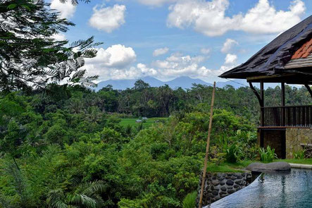 Ubud villa for sale