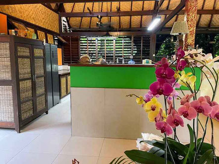 Padang bai property for sale