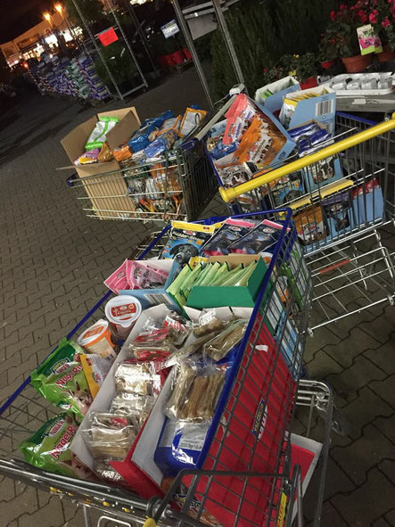 Leckerchen für die Tiertafel
