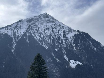Am Vortag aufgenommen, 22.01.2026