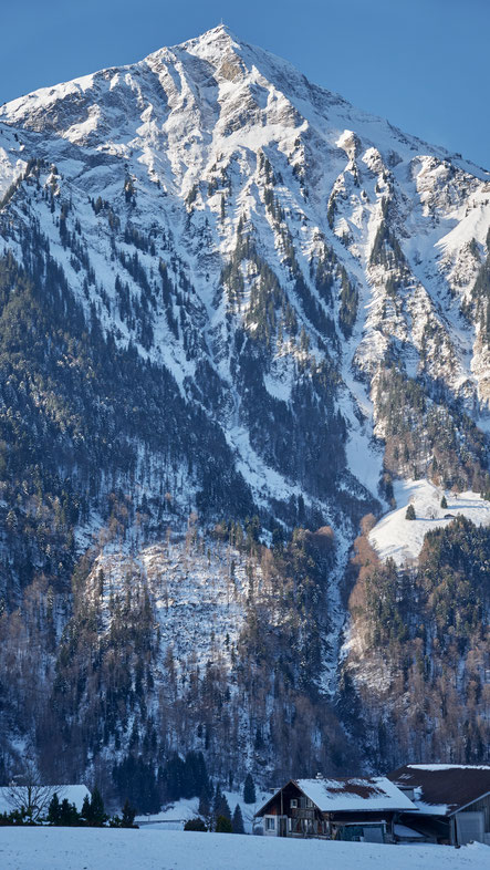 gut eingeschneit am 02.02.2023