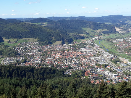 Haslach mit Blick vom Uhrenkopf