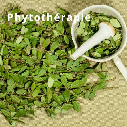 phytotherapie a Tours - annuaire du bien-etre via energetica