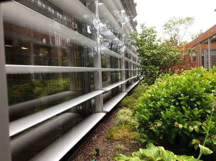 Shading blinds for the work place