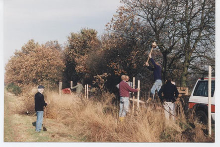 Neue Obstbäume am " Ostfriesland Wanderweg " beim Altenwohnheim Großefehn